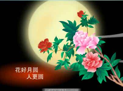 花好月圆 《花好月圆》【FLASH 极品音画】