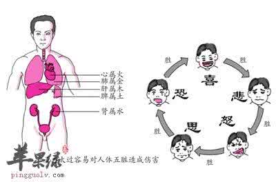 孕妇可以吃苦笋吗 情志 夏吃三笋调节情志 热天吃苦养胃