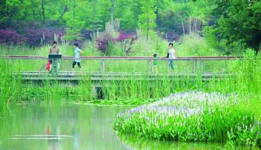 水生态修复公司排名 水生态