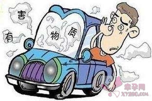 长途自驾游注意事项 长途自驾游注意事项 孕妇做长途车的注意事项