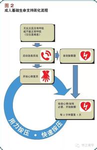 2015心肺复苏急救指南 最新发布| 2015AHA心肺复苏和心血管急救指南更新