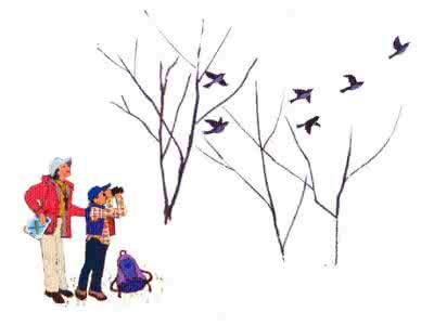 生命的不平凡80字 生命中最幸福的那些事——很温暖，很平凡！