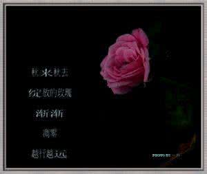 凋零的玫瑰 玫瑰偶尔也有凋零时【情感故事】