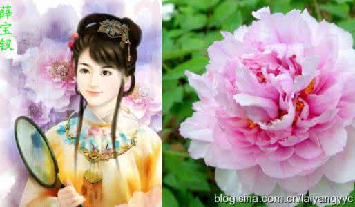 红楼梦金陵十二钗人物 《红楼梦》“金陵十二钗”之花缘