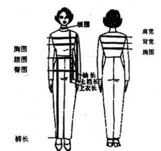 毛衣名部位比例图 毛衣编织技术之 毛衣各部位比例及制图基础