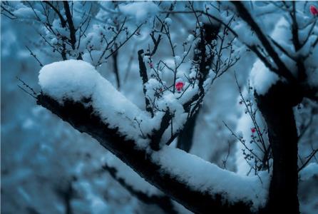 温暖心灵的情感美文 听 雪【情感美文】