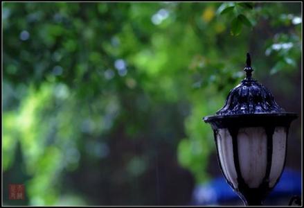 细雨闲花皆寂寞 细雨闲花皆寂寞，文人英雄应如是...