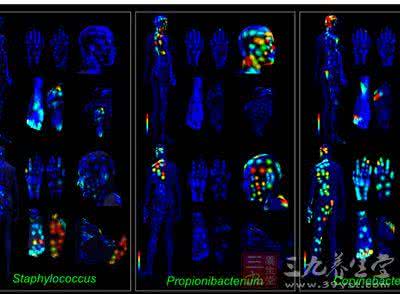 科学家给自己注射细菌 科学家们首次利用分析化学描绘人体细菌