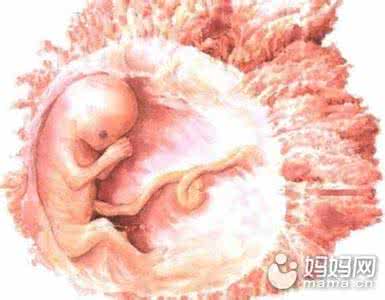 新鲜胎盘怎么吃补身体 人胎盘怎么吃