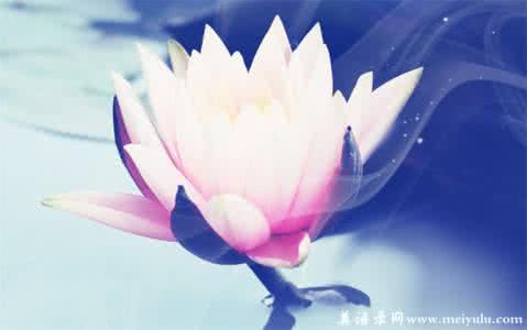 一抹清凉 你是我初夏的一抹清凉的记忆【情感美文】