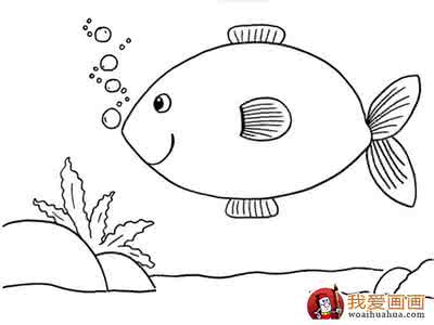 鱼的图片简笔画 鱼简笔画图片大全