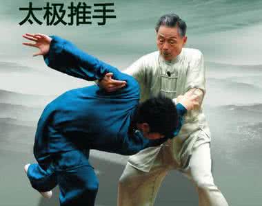 太极推手 第五章 华道太极推手