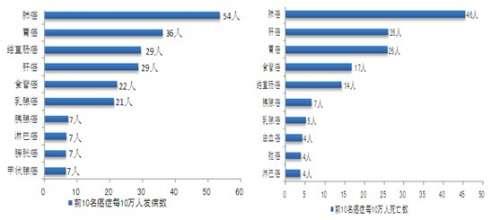 2020年我国肺癌发病人数将突破80万