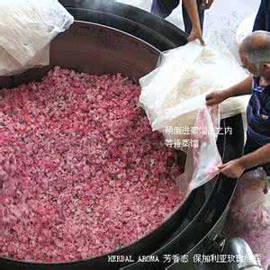 在家如何做玫瑰纯露 就地取材,在家自制起了玫瑰纯露(很容易做)