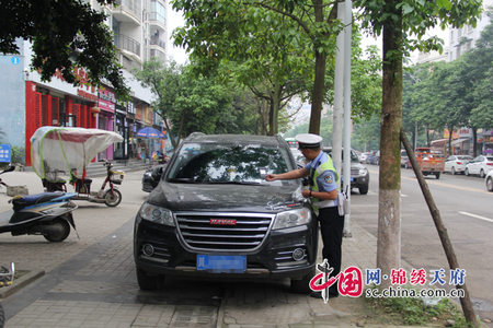 新手练胸 老手练背 史上最全停车泊位大法 新手老手都适用