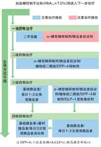2型糖尿病最佳治疗 2型糖尿病最佳治疗 治疗2型糖尿病