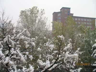 秋风秋雨愁煞人 秋风化雨，沁心怀