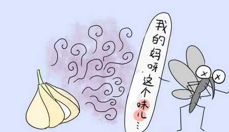 夏季驱蚊小妙招 夏天蚊子太多怎么办？夏季驱蚊小妙招分享