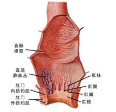 肛门瘙痒是什么病症 .肛门瘙痒难耐？警惕六大病症困扰