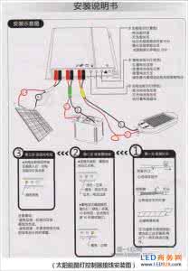 富贵竹 光照 led光照增加营养成分 富贵竹的养殖方法：水 营养 光照 环境要控好