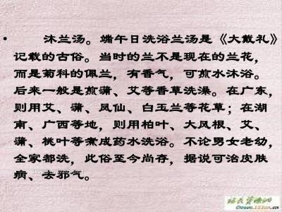 端午节作文450字10篇 端午节作文400字2篇