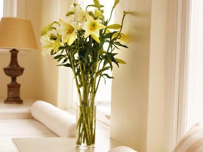 旺财家居风水花瓶摆设 花瓶选购 家居花瓶如何选购 保养有方更添彩