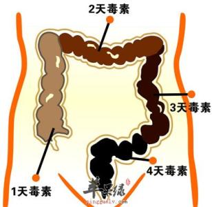 肠道毒素 肠道毒素太多8种养生食物能帮你洗肠