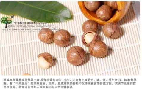 夏威夷果的营养价值 夏威夷果有什么营养 你知道夏威夷果的营养价值吗