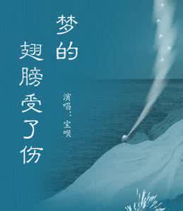 梦的翅膀受了伤 梦的翅膀受了伤 梦的翅膀受了伤