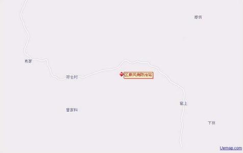 广东麻风岛 全国麻风新发病年降近两成 广东曾是高发区