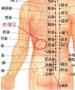女性左侧下腹部疼痛 腹部左侧疼痛
