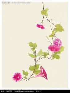 喇叭花花边 【花边】美艳的铃铛花封边教程(喇叭花花边)