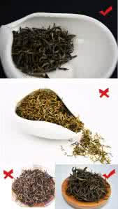 金骏眉泡茶方法 金骏眉茶 辨别优劣金骏眉的方法