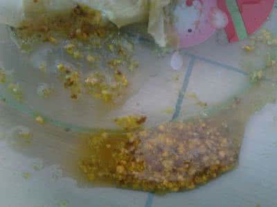 婴幼儿拉屎有泡沫 蒙古族秘方：婴幼儿水样腹泻大便绿色泡沫样根治圣方