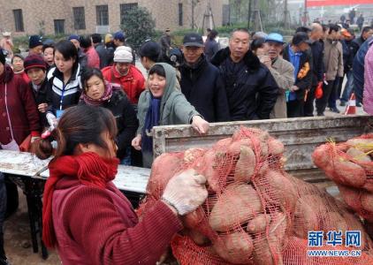 哄抢被撞死村民后悔 哄抢被撞死村民后悔 还在用手机哄孩子吗？后悔太晚看到这些危害！