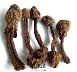 肉苁蓉的食用方法 【转载】肉苁蓉的功效作用及食用方法