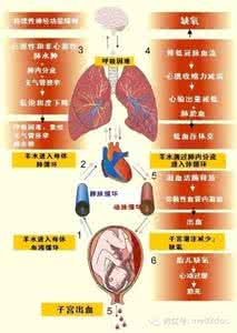 羊水栓塞的临床表现 羊水栓塞的临床表现 羊水栓塞的原因和处理