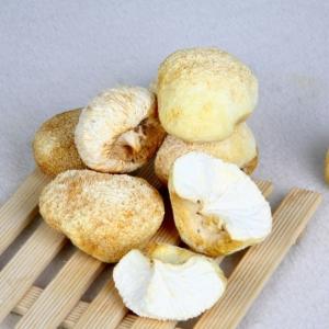 猴头菌的做法 猴头菌的做法大全