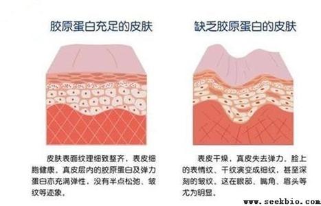 运动是一切生命的源泉 运动是人体美容的源泉