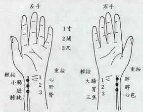 寸关尺脉法 寸关尺 脉法精微:对寸关尺的疑问