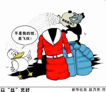 细菌挑战实验 买羽绒服当心飞丝有细菌 教你挑最合适的羽绒服