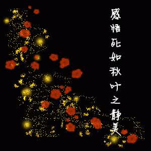像花一样,开出自己喜欢的颜色【情感美文】
