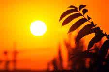 冬日里的一抹暖阳 邀一抹暖阳入心来