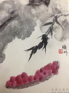雪鸪战斗 雪鸪