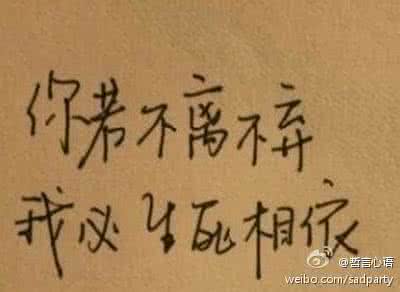 不离不弃生死相依 不离不弃 生死相依 你若不离不弃 我必生死相依_不离不弃 生死相依