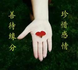 再好的感情也经不起 再好的缘分,也经不起敷衍