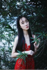 龙梅子情歌继续唱 龙梅子 情歌继续唱【15首】