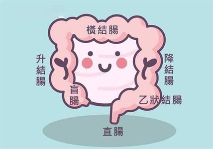 肠道健康自测 每年新增40万大肠癌患者，简单自测你的肠道！