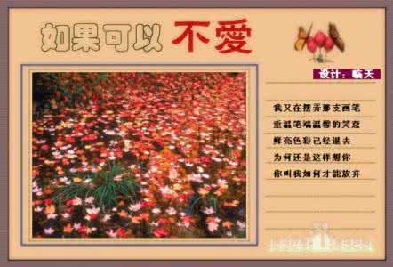 文华数学精品网 如果可以不爱「图文音画」 - 情感杂谈 - 精品网社区 北京时尚消费门户|吃喝玩乐|美容瘦...