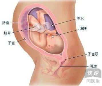 怎么做快速怀孕视频 快速怀孕怎么做